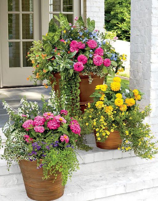 Container Gardening: Selecting the Perfect Pot - Utah Style and Design